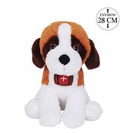 St. Bernard dog 
